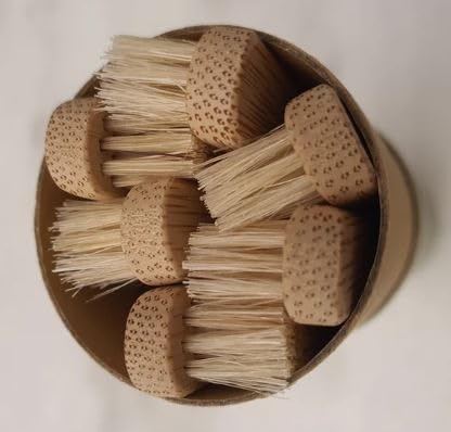 Gaia Guy Natural Bristle Bamboo Toothbrush (NO Nylon - Boar Hair ONLY) - Totally Compostable & Biodegradable Boar Bristle and Bamboo Toothbrushes