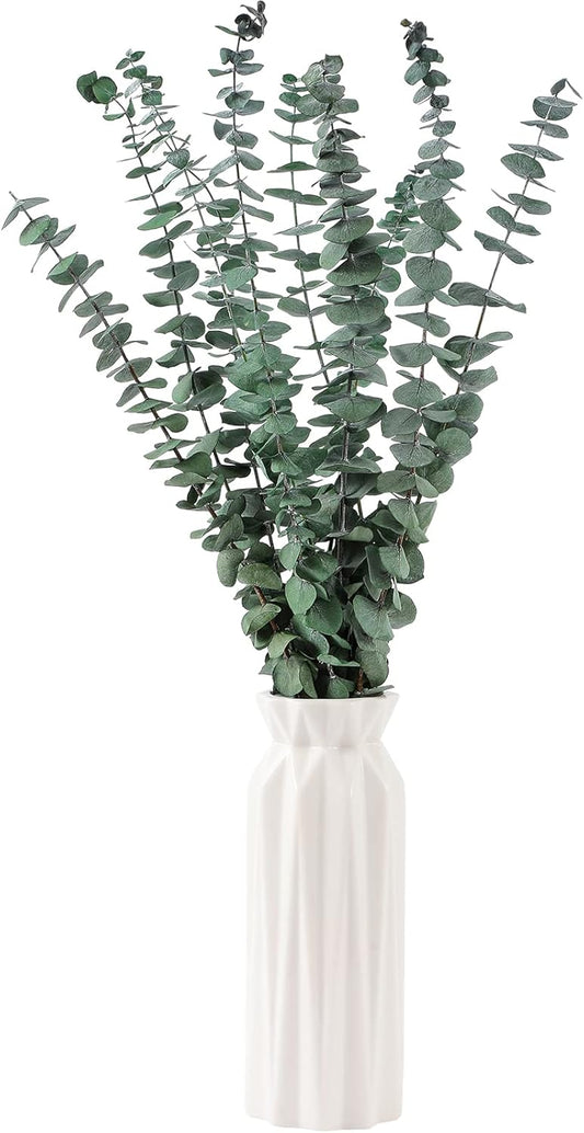 10 Pcs Dried Eucalyptus Stems 17" Real Eucalyptus for Shower Hanging 100% Made from Fresh Leaves, Wedding, Home, Farmhouse, DIY Spring Decor Bathroom