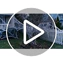 MAQIHAN 1000 sqft Spider Webs Halloween-Decorations Halloween Spider Web Cobwebs Halloween Decorations with 40 Fake Spiders Super Stretch Cobwebs