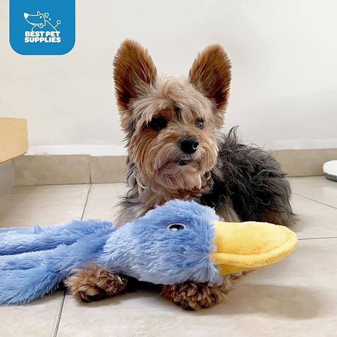 Best Pet Supplies Crinkle Dog Toy for Small, Medium, and Large Breeds, Cute No Stuffing Duck with Soft Squeaker, Fun for Indoor Puppies and Senior