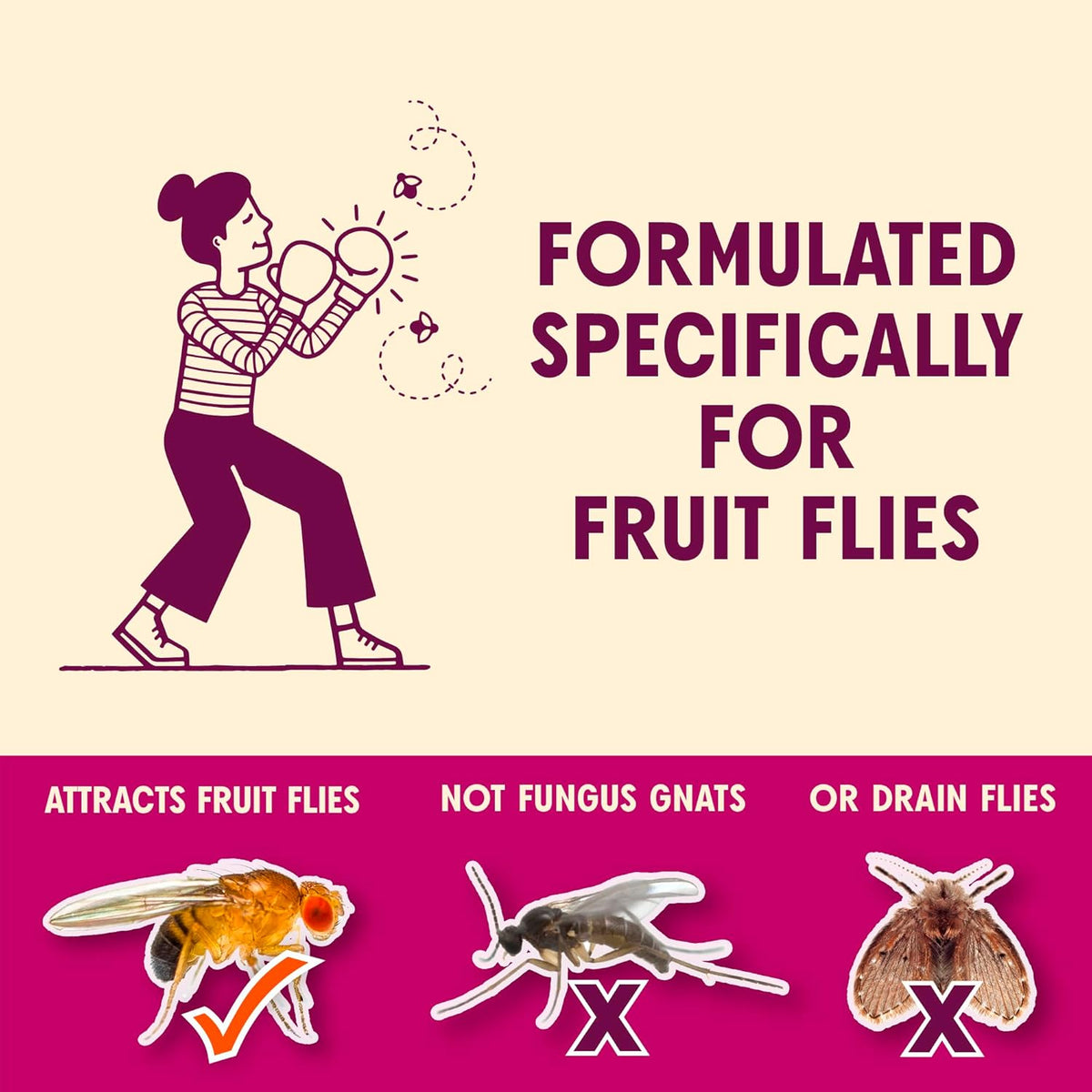 Aunt Fannie's FlyPunch Fruit Fly Trap for Indoor and Kitchen Use, Ready to Use, Made with Plant Based Ingredients, Safe Near Food, Each Bottle Lasts