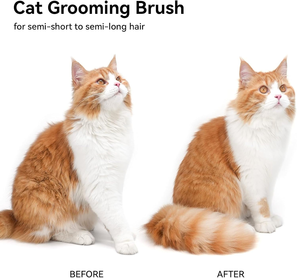 aumuca Cat Brush with Release Button, Cat Brushes for Indoor Cats Shedding, Cat Brush for Long or Short Haired Cats, Cat Grooming Brush Cat Comb for