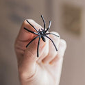 Happy Hippo Halloween Spider Web Decoration, 200 Sqare Feet & Plastic Spiders, Halloween Party Supplies, Spider Webs (Small, 200 Sq Feet) (8 Fake