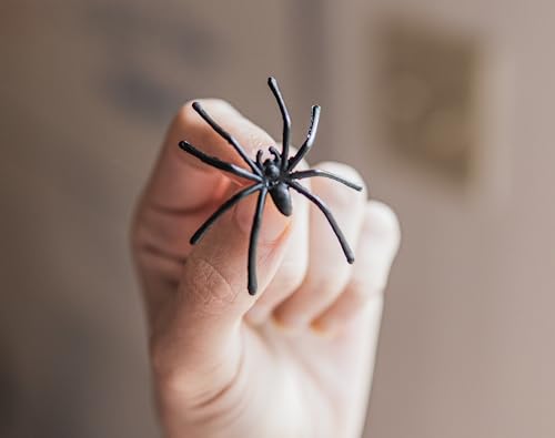 Happy Hippo Halloween Spider Web Decoration, 200 Sqare Feet & Plastic Spiders, Halloween Party Supplies, Spider Webs (Small, 200 Sq Feet) (8 Fake