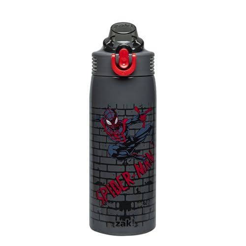 Zak Designs Marvel Spider-Man Sage Kids Water Bottle For School or Travel, 19oz Stainless Steel Water Bottle With Straw, Handle, and Leak-Proof