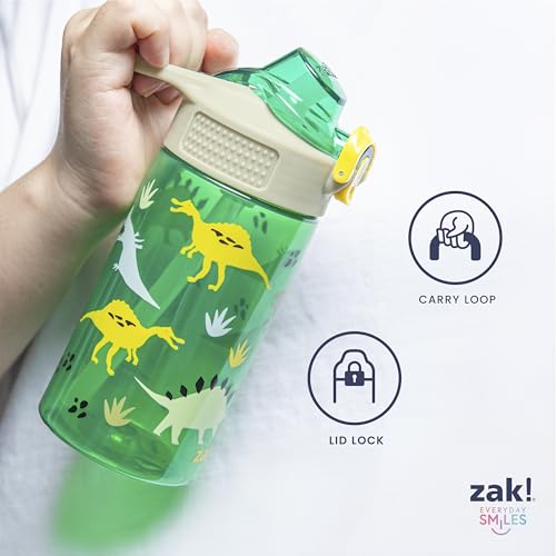 Zak Designs Marvel Spider-Man Sage Kids Water Bottle For School or Travel, 16oz Durable Plastic Water Bottle With Straw, Handle, and Leak-Proof Spout