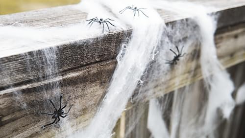Happy Hippo Halloween Spider Web Decoration, 200 Sqare Feet & Plastic Spiders, Halloween Party Supplies, Spider Webs (Small, 200 Sq Feet) (8 Fake