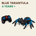 Terra by Battat – Remote Control Tarantula for Kids with LED Eyes – Realistic Spider Toy with Moving Legs, Fast Speed & 360° Spin – Blue RC Animal