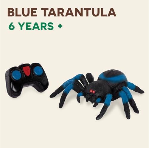 Terra by Battat – Remote Control Tarantula for Kids with LED Eyes – Realistic Spider Toy with Moving Legs, Fast Speed & 360° Spin – Blue RC Animal