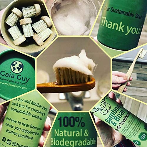 Gaia Guy Natural Bristle Bamboo Toothbrush (NO Nylon - Boar Hair ONLY) - Totally Compostable & Biodegradable Boar Bristle and Bamboo Toothbrushes