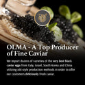OLMA Caviar Taster Gift Set - 4 oz (112g) of Caviar, Includes 8 Varieties of Caviar Fish Roe (Beluga Hybrid, Osetra, Kaluga Royal, Hackleback