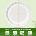 100% Compostable 5X Stronger Round 9-Inch 125 Count & 10-Inch 150Count Paper Plates| Disposable Biodegradable Bagasse Microwave-Safe, Soak-Proof, Cut