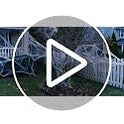 MAQIHAN 1000 sqft Spider Webs Halloween-Decorations Halloween Spider Web Cobwebs Halloween Decorations with 40 Fake Spiders Super Stretch Cobwebs