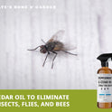 Kate's Home & Garden Peppermint Oil Spray for Bugs, Ants, Insects, Spiders. Pesticide and Insecticide Indoor Repellent Pest Control with Cedarwood