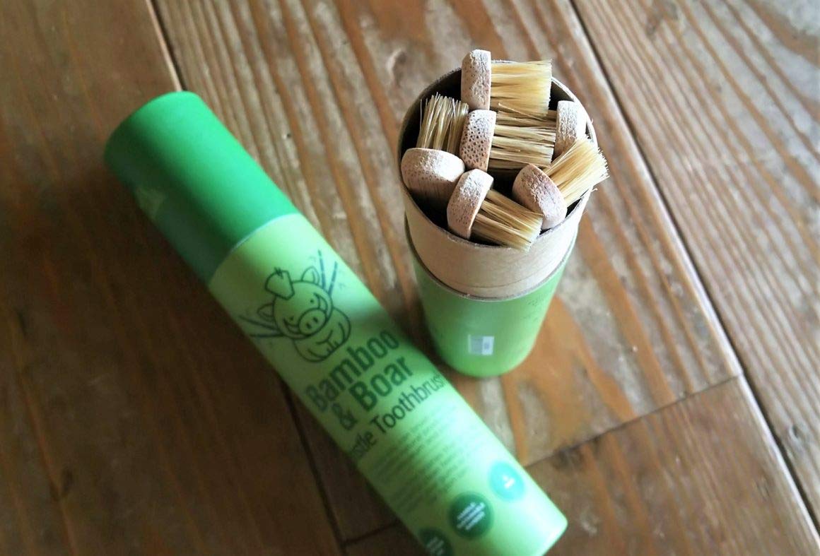 Gaia Guy Natural Bristle Bamboo Toothbrush (NO Nylon - Boar Hair ONLY) - Totally Compostable & Biodegradable Boar Bristle and Bamboo Toothbrushes