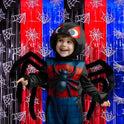 Bupelo Spider Web Birthday Decorations, 2 Pack Spider Party Supplies 3.3x6.6ft Tinsel Foil Fringe Curtains, Red Black, and Blue Photo Booth Prop