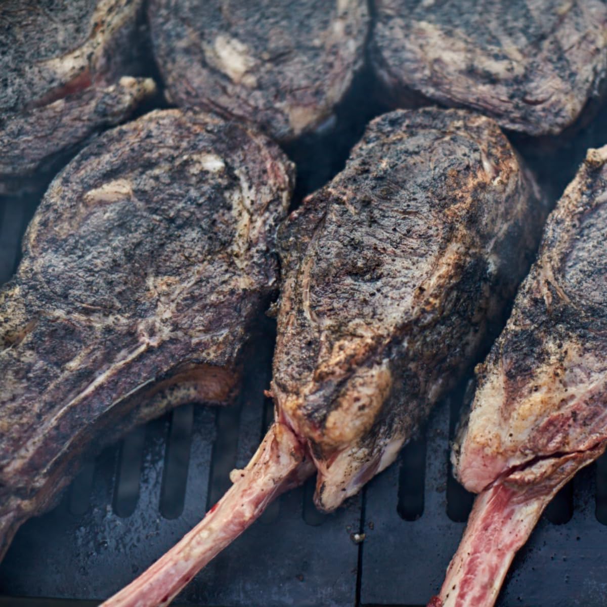 Hardcore Carnivore Black: Activated Charcoal Meat Seasoning Rub (13 oz Shaker) Texas-Made, Blend for Steak, Brisket, Burgers, BBQ, Grilling and