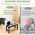 XIAZ Elevated Dog Bowls Large Breed Raised Dogs Bowl Stand Large/Medium Sized Dog 1L Food Water Bowl Stands 5 Heights Adjustable 9/11/12/14in Black