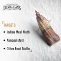 Dr. Killigan's Premium Double Potent Pantry Moth Traps with Pheromones Prime, Sticky Indian Meal Moth Traps for Kitchen, How to Get Rid of Moths