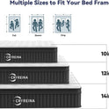 Queen Mattress 12 inch, Hybrid Mattress in a Box, Individually Pocket Springs, Medium Firm Feel for Pressure Relief, Breathable Comfort, CertiPUR-US
