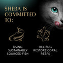 Sheba Perfect Portions Wet Cat Food Pate with Sustainable Salmon, Signature Seafood Entree, and Tender White Fish and Tuna Entree Variety Pack, 2.6