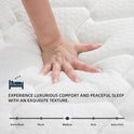 Queen Mattress 12 Inch | Hybrid Mattresses Queen Size in a Box | Medium Firm Memory Foam and Individual Pocket Springs | Fiberglass Free Bed Mattres