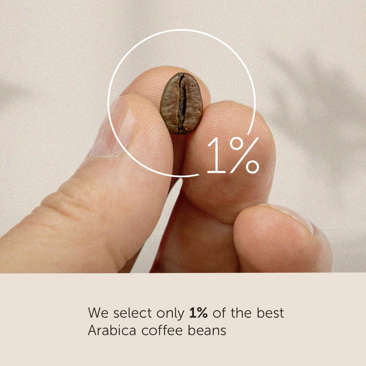 Illy Classico Whole Bean Coffee, Medium Roast, Classic Roast With Notes Of Caramel, Orange Blossom And Jasmine, 100% Arabica Coffee, No