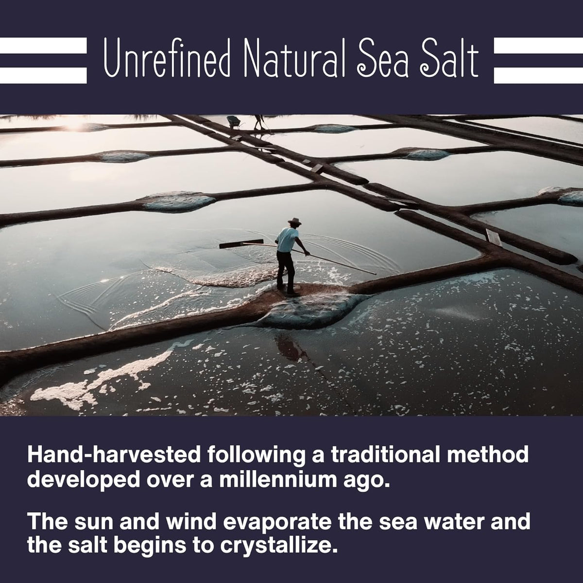 Le Marinier Celtic Salt Organic Fine Ground, 1.1lb - 18oz. Mineral Rich. 100% Natural and Unrefined. French Sea Salt Organic Vital Minerals. Hand