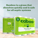 Caboo Tree Free Toilet Paper, Septic Safe Toilet Tissue, Non Toxic, Chemical Free, Non Toxic, 2 Ply Bathroom Toilet Paper | Pack of 24 Double Rolls