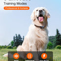 Bousnic Dog Shock Collar - 3300Ft Dog Training Collar with Remote for 5-120lbs Small Medium Large Dogs Rechargeable Waterproof e Collar with Beep