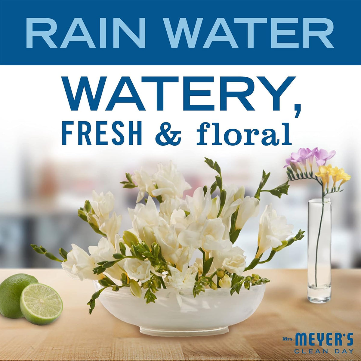 MRS. MEYER'S CLEAN DAY Multi-Surfaace Everyday Cleaner, Rain Water Scent, 16 Ounce Bottle