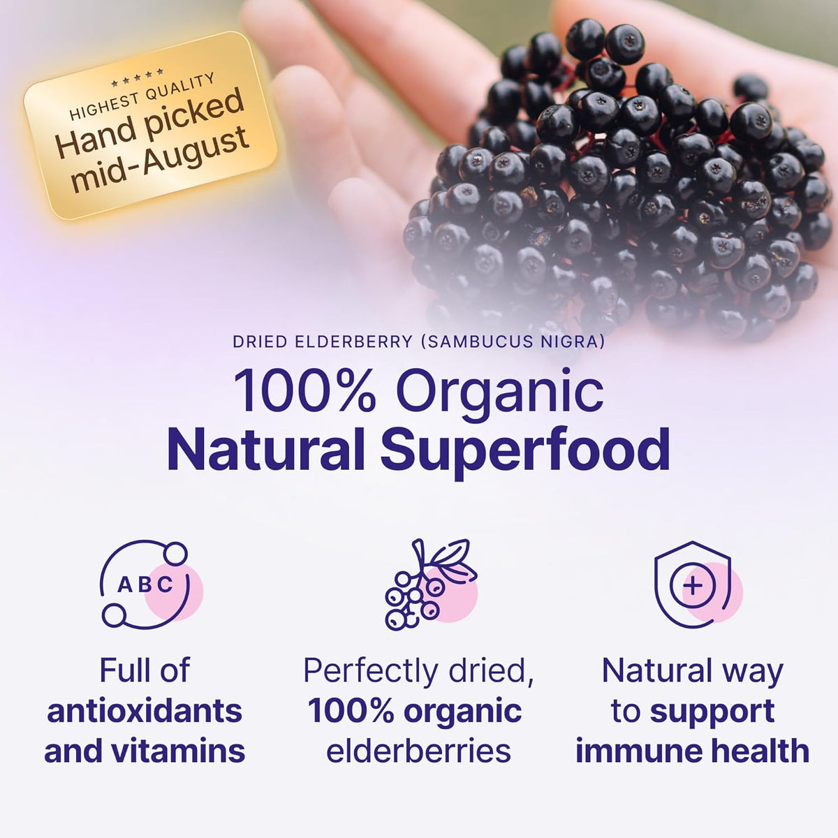 Certified USDA - 100% Organic Dried Elderberries - 1lb Bulk - Non-Irradiated, Non-Gmo, Whole Black Elderberry Immune Support For Making Elder Syrup