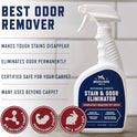 Rocco & Roxie Stain & Odor Eliminator for Strong Odor, 32oz Enzyme Pet Odor Eliminator for Home, Carpet Stain Remover for Cats & Dog Pee, Enzymatic