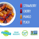 YumEarth Organic Gummy Bears - Fruity Gummy Candy Snack Packs, Gluten Free Snacks for Kids - Allergy Friendly, Non-GMO, No Artificial Dyes - Assorted