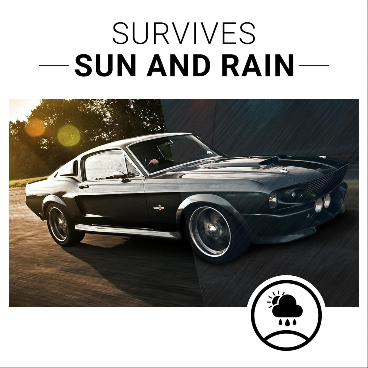 CAR GUYS Plastic Restorer | Bring Plastic, Rubber, and Vinyl Back to Life! | User Friendly Trim Restorer | Safe Auto Detailing Supplies | 8 Oz Kit