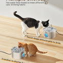 Cat Water Fountain Stainless Steel: 74oz/2.2L Cat Fountain for Drinking - Pet Water Fountain for Cats Inside - Quiet Cats Water Bowl Dispenser