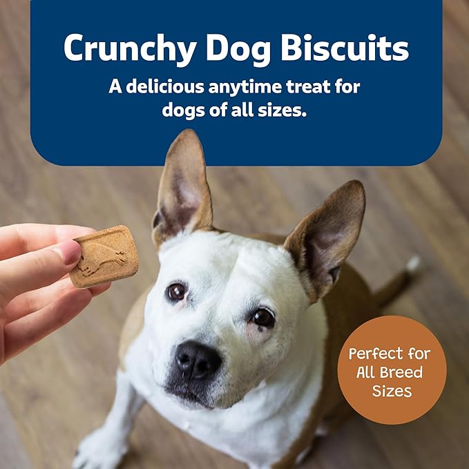 Blue Buffalo Health Bars Crunchy Dog Biscuits, Oven-Baked With Natural Ingredients, Pumpkin & Cinnamon, 16-oz Bag