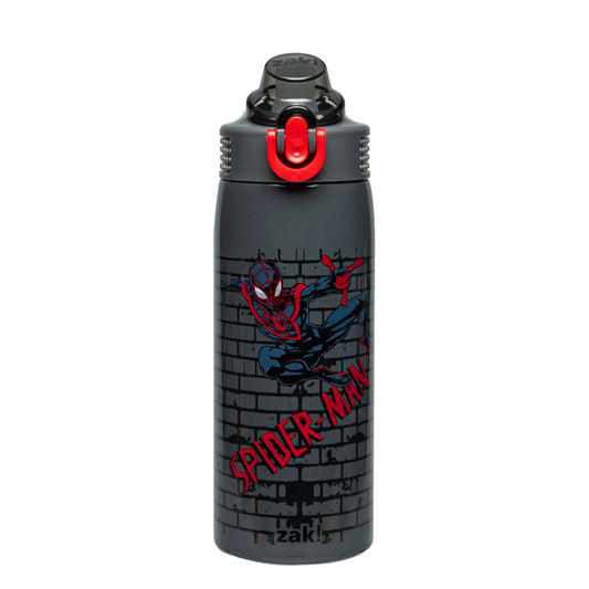Zak Designs Marvel Spider-Man Sage Kids Water Bottle For School or Travel, 19oz Stainless Steel Water Bottle With Straw, Handle, and Leak-Proof