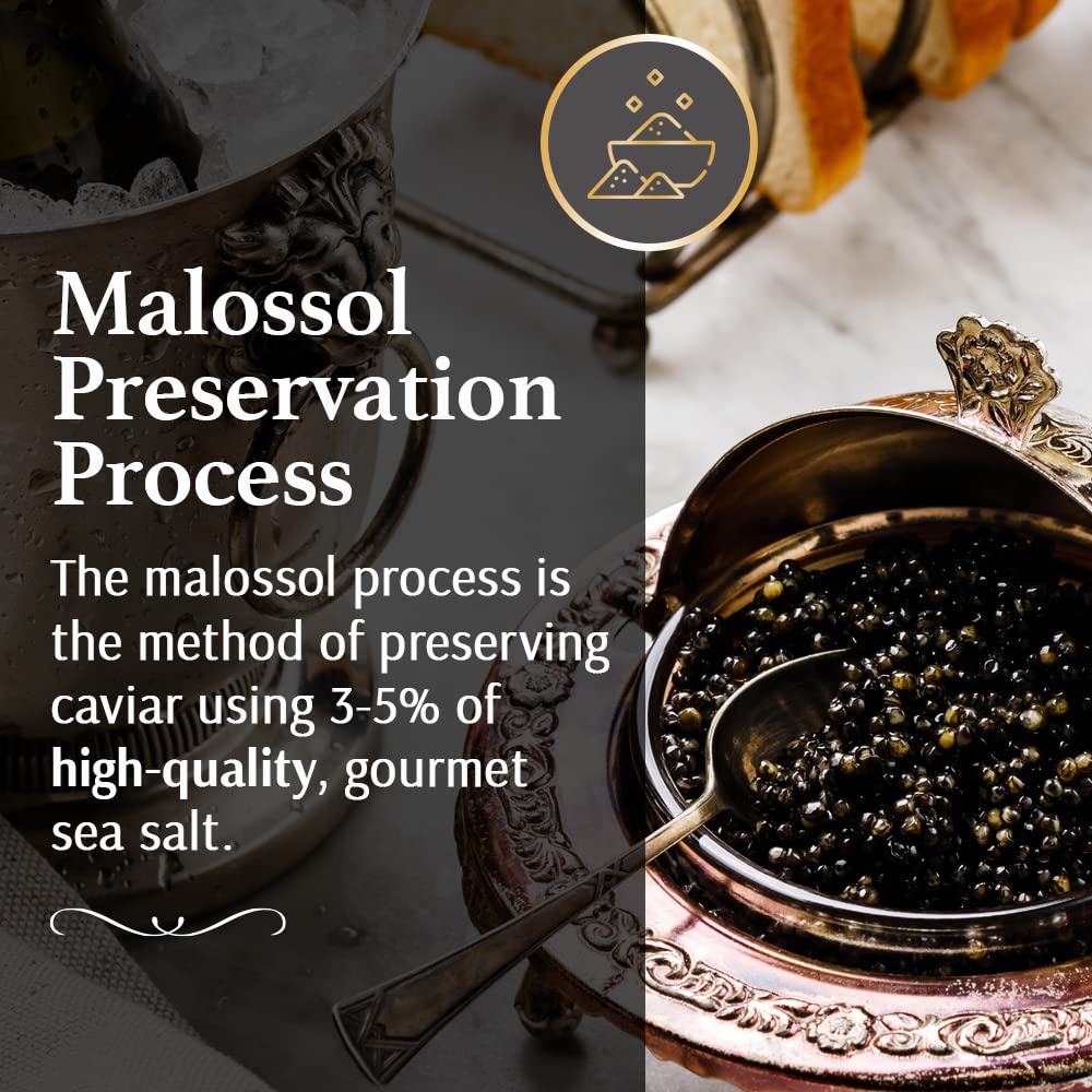 OLMA Caviar Taster Gift Set - 4 oz (112g) of Caviar, Includes 8 Varieties of Caviar Fish Roe (Beluga Hybrid, Osetra, Kaluga Royal, Hackleback