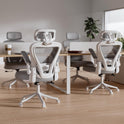 Ergonomic Office Chair M903, Computer Desk Chair with Wheels, High Back Mesh Office Chair with Adjustable Lumbar Support, Headrest, Flip-Up Armrests