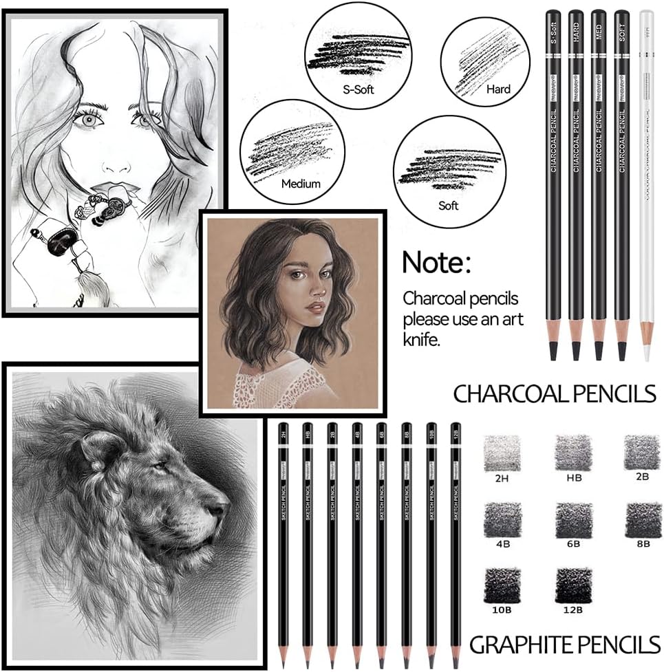 PANDAFLY Drawing Sketching Pencil Set, 22 Piece Pro Art Pencil Kit - Graphite Pencils (12B-2H), Black and White Charcoal Pencils, Charcoal Sticks