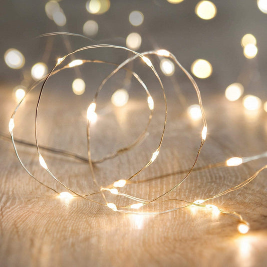 ANJAYLIA LED Fairy String Lights, 10Ft/3M 30leds Firefly String Lights Garden Home Party Wedding Festival Decorations Crafting Battery Operated