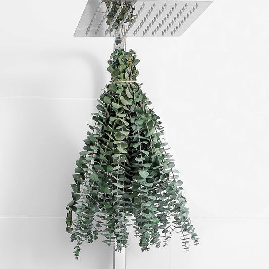 10 Pcs Dried Eucalyptus Stems 17" Real Eucalyptus for Shower Hanging 100% Made from Fresh Leaves, Wedding, Home, Farmhouse, DIY Spring Decor Bathroom