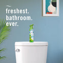 Febreze Air Mist Air Freshener Spray, Odor-Fighting Room Spray, Air Fresheners for Home and Bathroom and Kitchen, Aerosol Can, Gain Original Scent