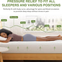 EGOHOME 10 Inch Queen Mattress, Memory Foam Mattress in a Box with Cooling Green Tea Gel, Relieve Pressure with Medium Support, CertiPUR-US