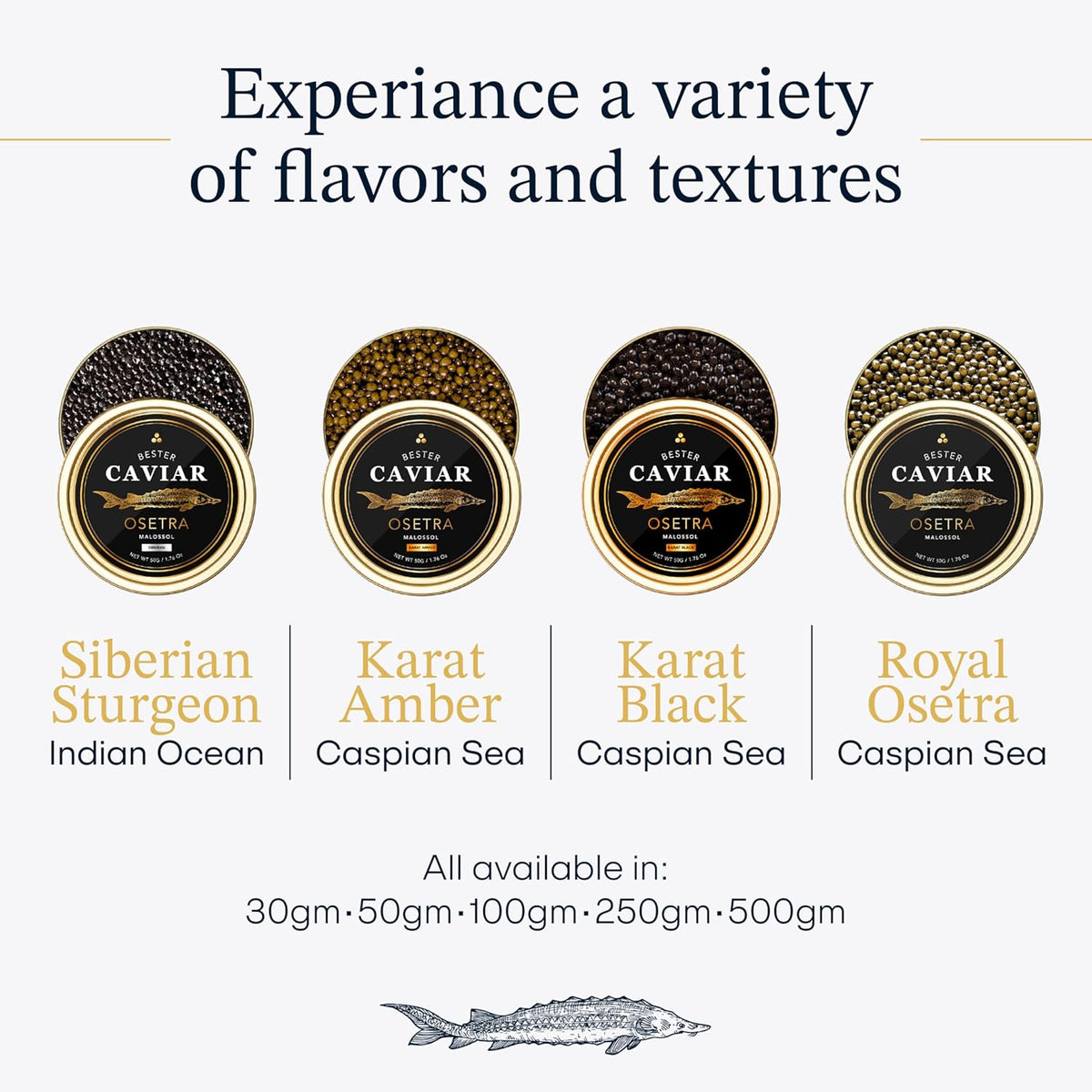 BESTER CAVIAR Royal Beluga Hybrid Sampler Set 1.05oz (30g) – Huso huso x Baerii Sturgeon Sampler Package – Caviar Serving Set with Mini Blinis (30