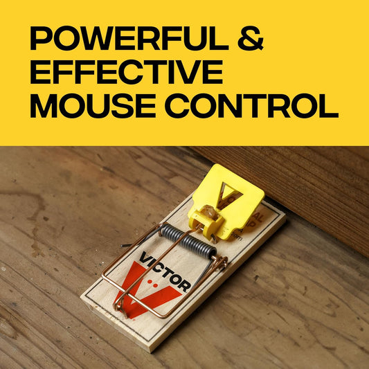 Victor Mouse Traps M035-12, Plastic Pedal, Sustainably Sourced FSC Wood, Wooden Mouse Traps, 12 Pack