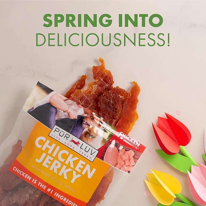 Dog Treats, Chicken Jerky for Dogs, Made with 100% Real Chicken Breast, 16 Ounces, Healthy, Easily Digestible, Long-Lasting, High Protein Dog Treat
