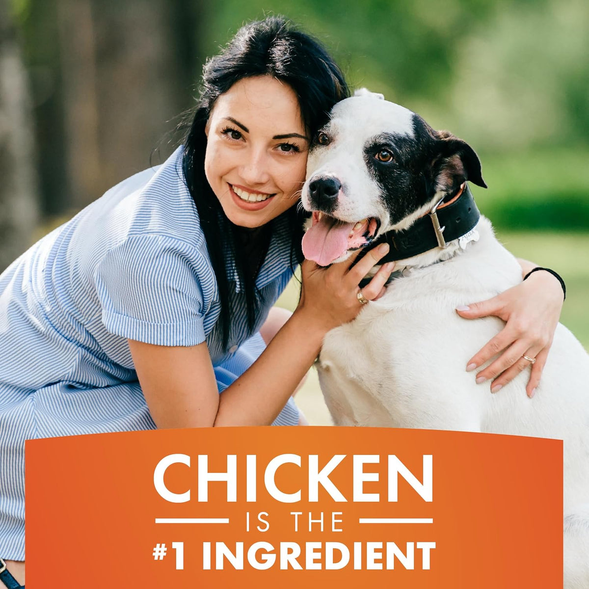 Dog Treats, Chicken Jerky for Dogs, Made with 100% Real Chicken Breast, 16 Ounces, Healthy, Easily Digestible, Long-Lasting, High Protein Dog Treat