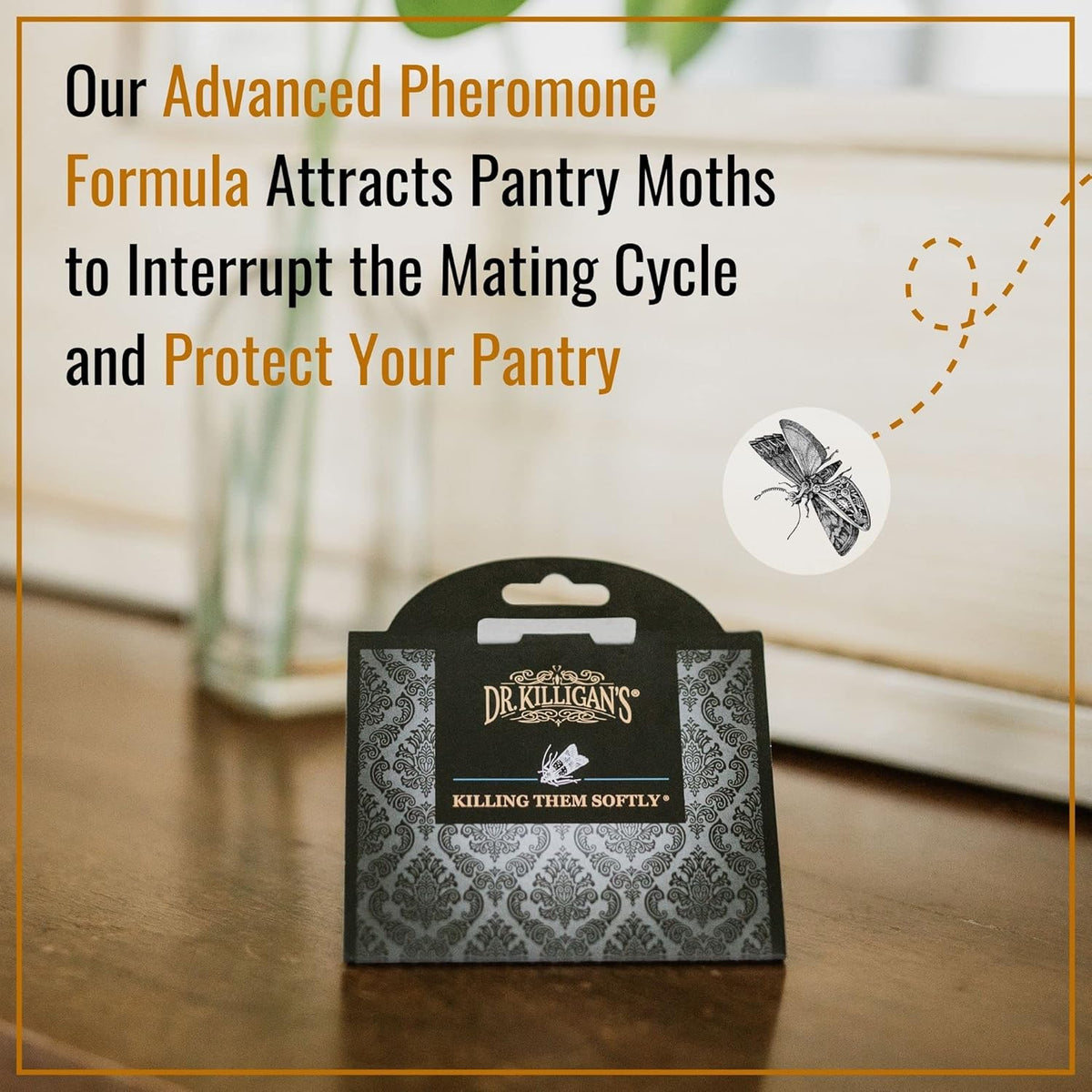 Dr. Killigan's Premium Double Potent Pantry Moth Traps with Pheromones Prime, Sticky Indian Meal Moth Traps for Kitchen, How to Get Rid of Moths